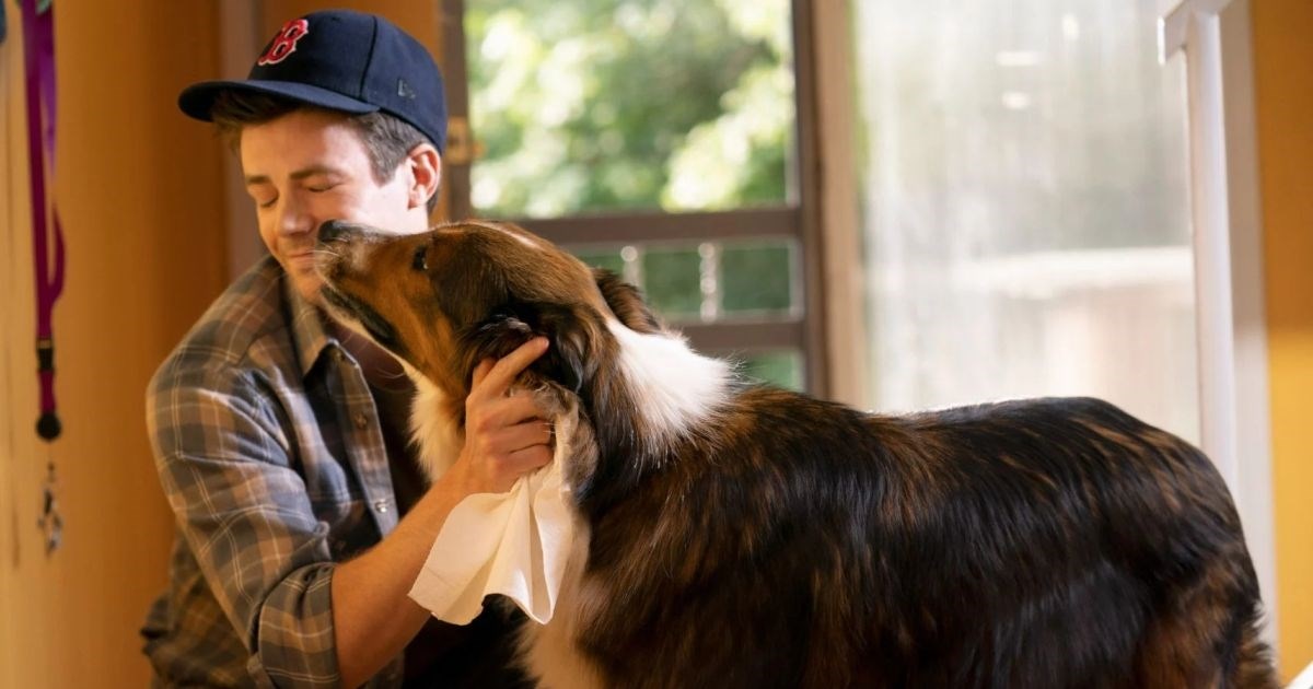 Netflixov novi hit nastao je po istinitoj priči, gledatelji oduševljeni: Plakat ćete