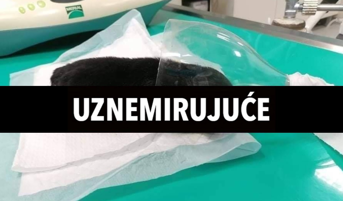 Nađen vlasnik koji je štence bacio u polje. Oni su uginuli, a njega čeka suđenje