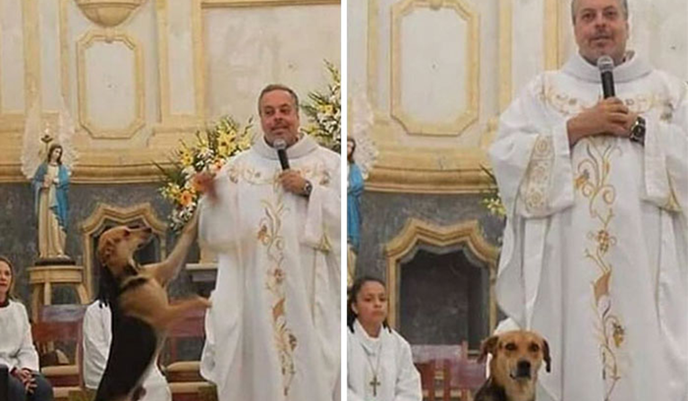 Svećenik iz Brazila pušta pse na misu, a razlog je prekrasan