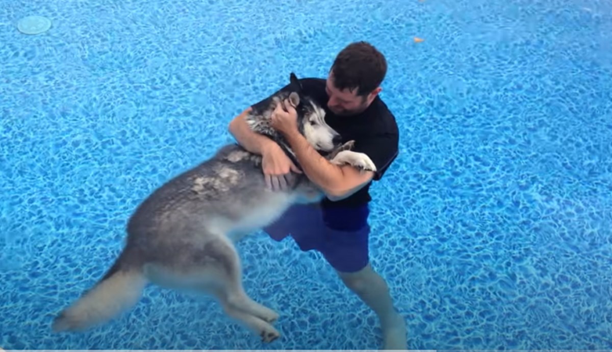 Svakoga dana plivao je sa svojim psom, razlog će vam natjerati suze na oči