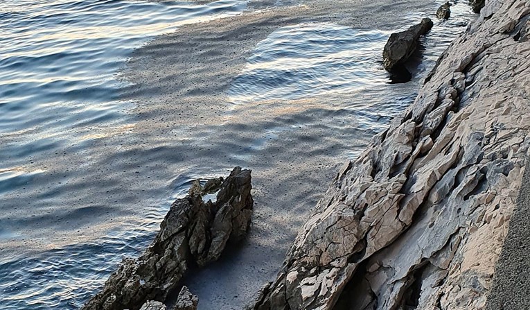 Čudne mrlje na moru na Makarskoj rivijeri, ne zna se kakvo je onečišćenje u pitanju