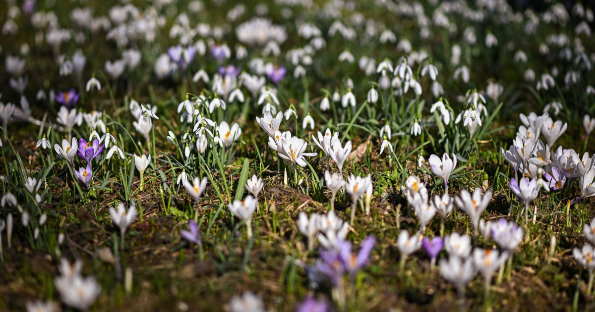 Nakon zimske pauze ponovno je otvoren Botanički vrt u Zagrebu