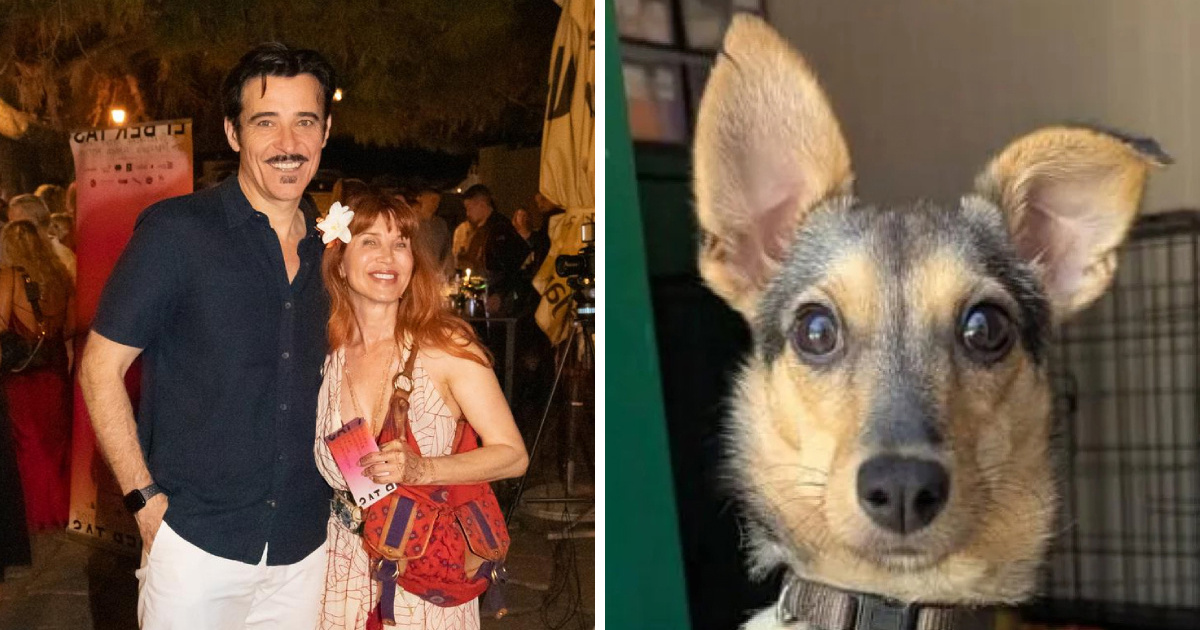 Goran i Eva Višnjić udomit će kujicu Lou koju je glumčeva kći vratila u azil