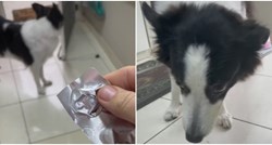 VIDEO Vlasnica otkrila kako svom psu daje tabletu, ljudi su oduševljeni