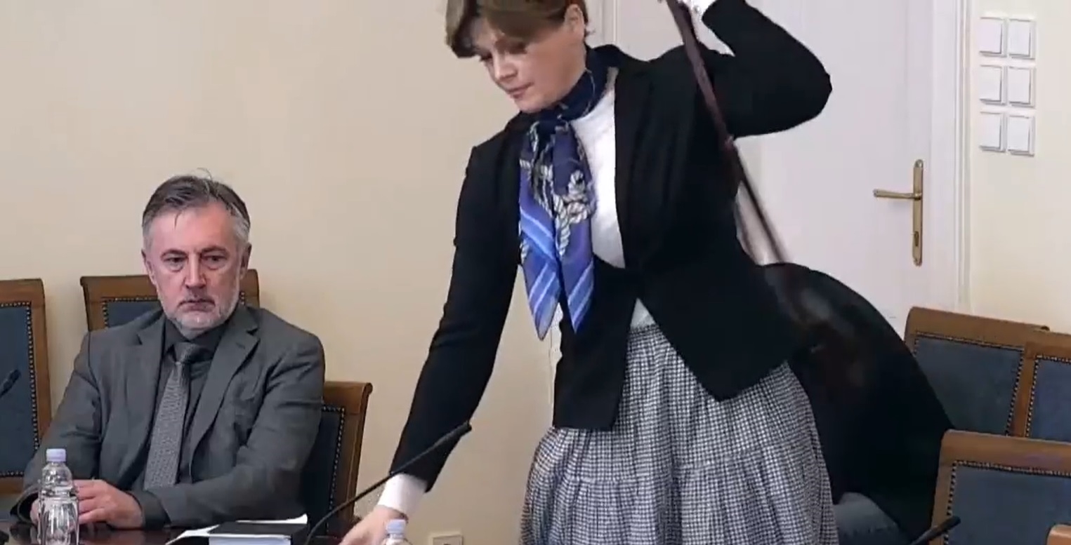 VIDEO Krišto napala novu ministricu da veliča Ratka Mladića pa napustila sjednicu