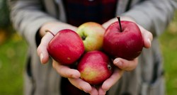 Pet vrsta voća bogatog hranjivim tvarima koje povećavaju razinu hemoglobina