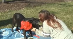 Susrela se sa svojim psom tri godine nakon njegovog nestanka: "Kao da sam u snu"