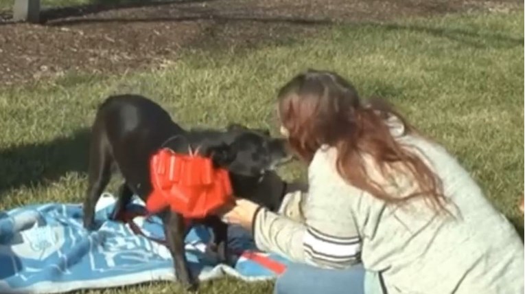 Susrela se sa svojim psom tri godine nakon njegovog nestanka: "Kao da sam u snu"