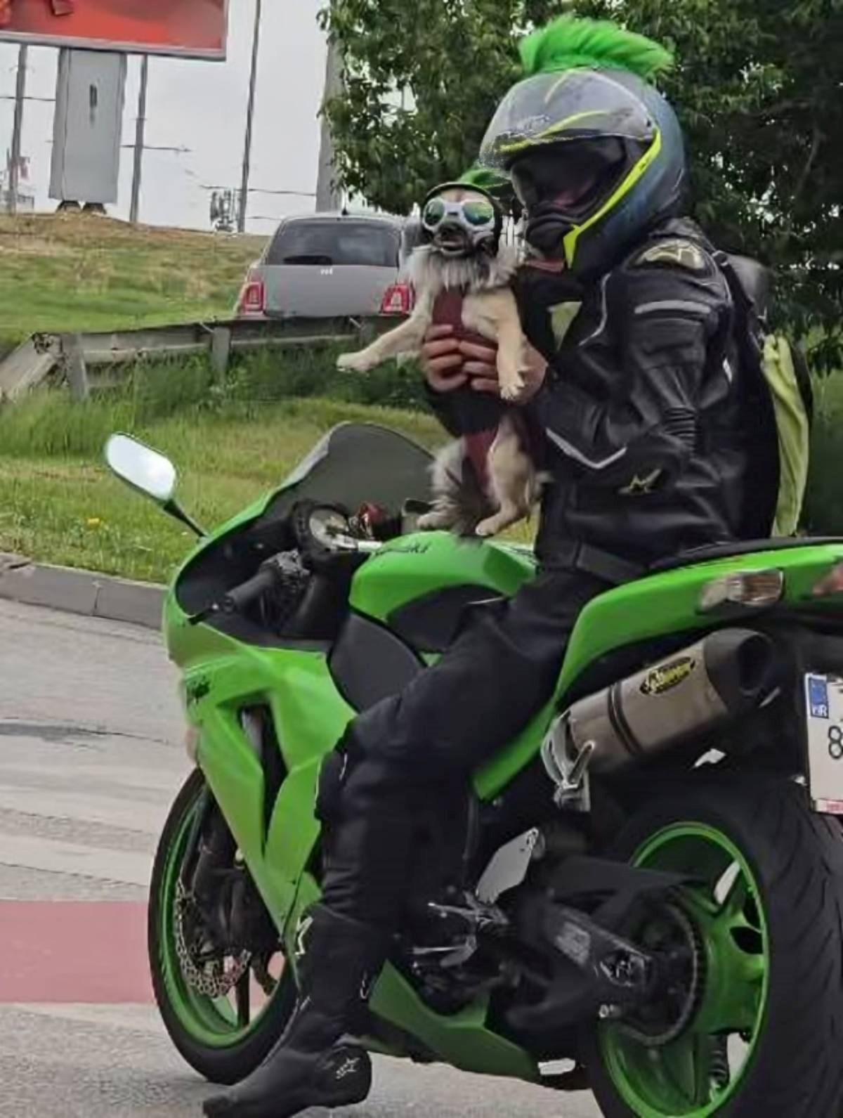 VIDEO Jeste li ikad vidjeli slađeg motorista? Snimljen je u Zagrebu