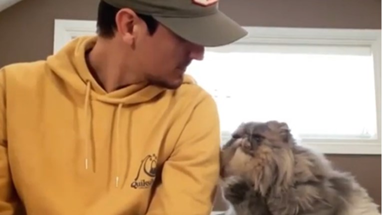Video u kojem mačka moli vlasnika da je mazi hit je na internetu