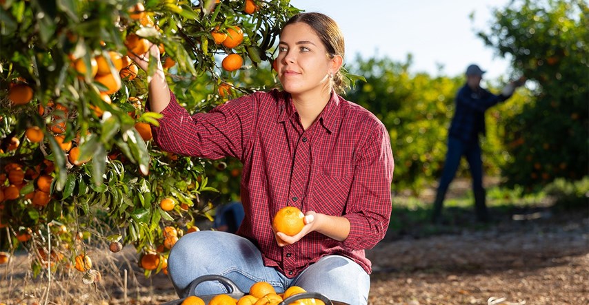 Istražili smo gdje i kako nastaju posebne domaće mandarine. U EU-u se ističu po ovome