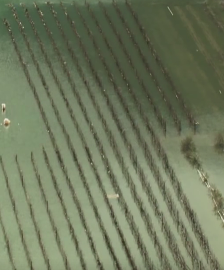 Poplave kod Vrgorca. Ceste pod vodom, pojačane migracije životinja