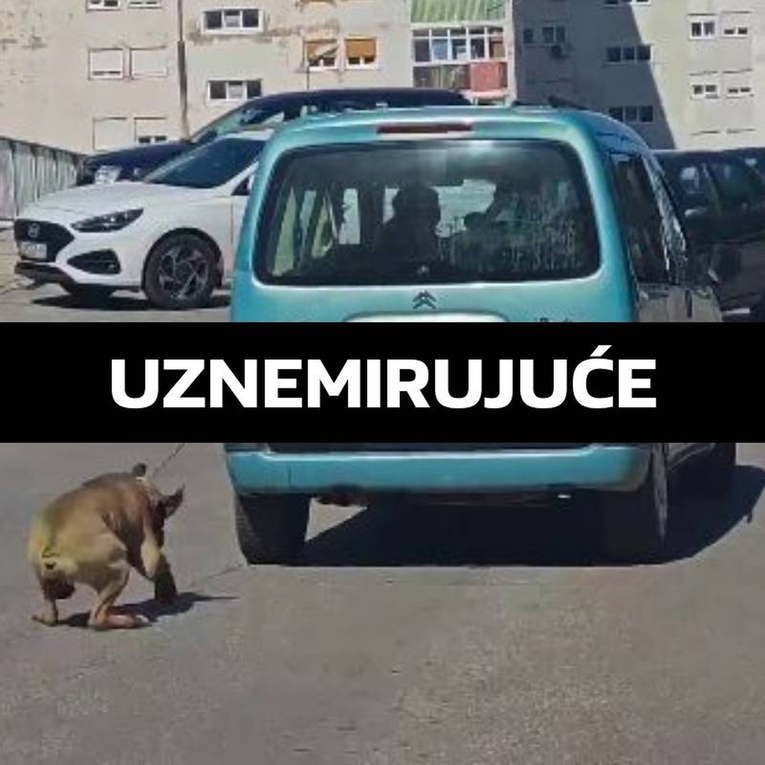 UZNEMIRUJUĆE Uhićen manijak koji je u Šibeniku vezao psa za auto i vukao ga po cesti