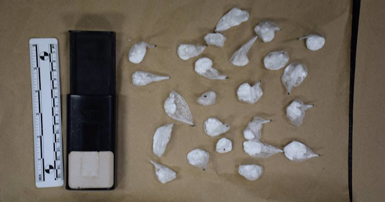 Diler u Zagrebu policiji dragovoljno predao 24 paketića kokaina