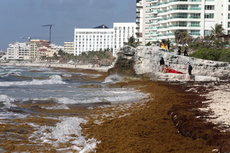 Satelitske snimke otkrivaju veliki porast algi u oceanima