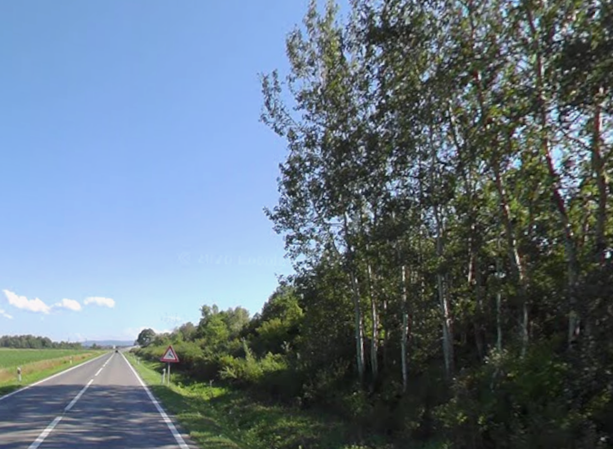 Hrvat i Srbin krijumčarili migrante kod Siska