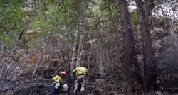 VIDEO U tajnoj vatrogasnoj akciji spašena australska "dinosaurska stabla"