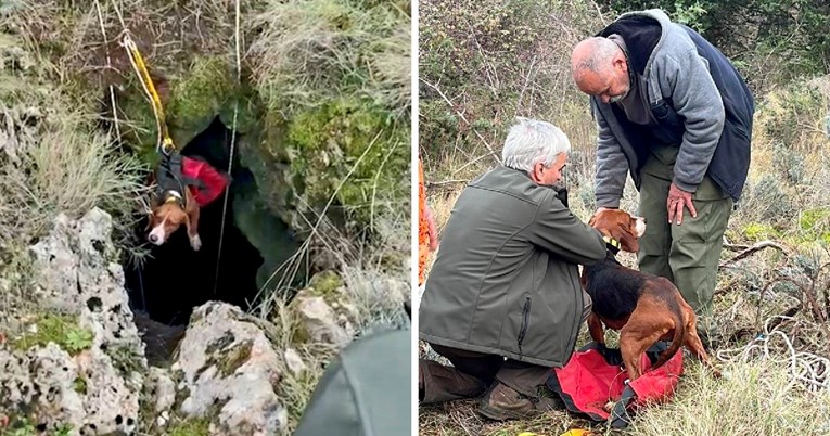 Pas na Hvaru upao u jamu duboku 20 metara, spasili ga vatrogasci