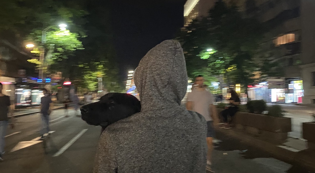 Jasno je zašto je ova slika s prosvjeda iz Srbije hit na internetu: "Pravi heroj"