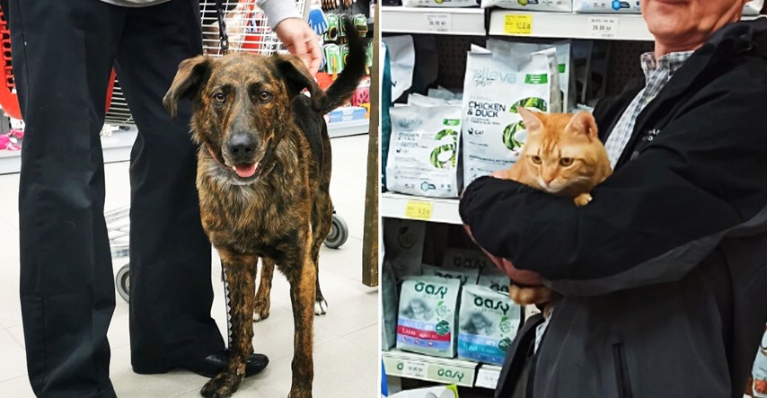 Udomi uz Index: Pas Merlin i mačak Bobo Bobica uživaju u svojim novim domovima