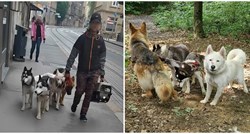 Sjećate se pasa koji su ostavljeni u šumi kraj Zagreba? Dva sad traže dom