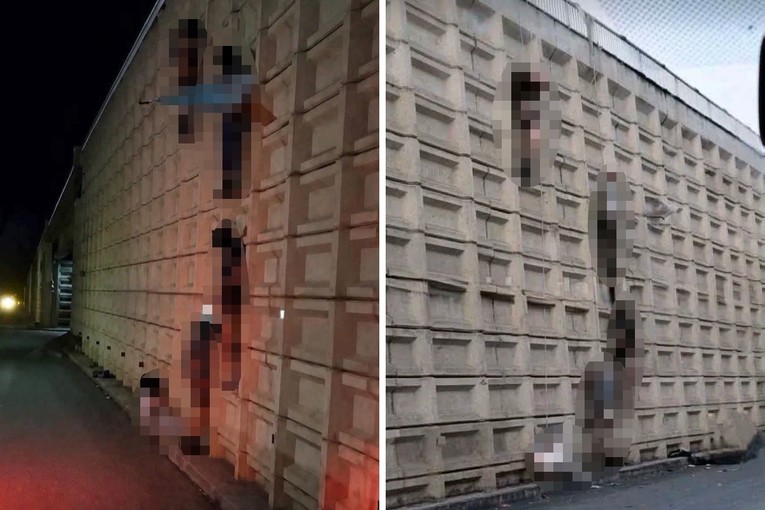 Na mostu u Meksiku obješeno pet tijela, drugih pet nađeno uz cestu