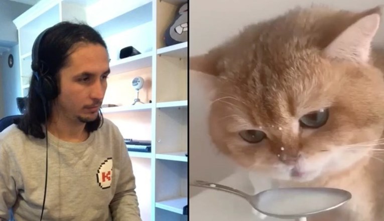 VIDEO Ovaj tip radi duete s mačkama, pjesme su hit