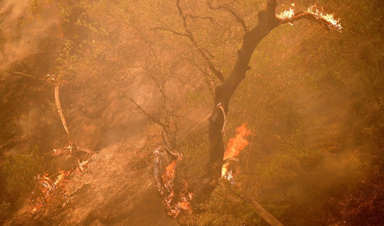 Kalifornijom bjesni treći najveći požar u povijesti države