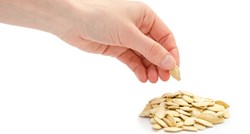 Dijetetičari objasnili zašto bismo svaki dan trebali jesti bučine sjemenke