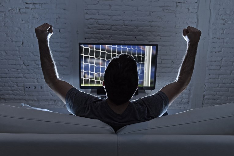 Dnevnik sportskog fanatika