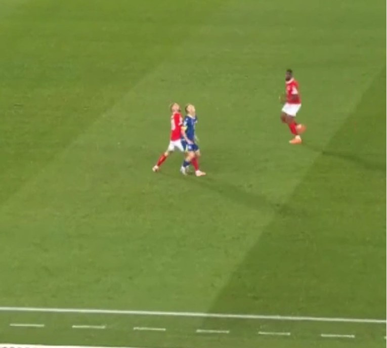 VIDEO Austrijanci bijesni na suca. Pogledajte zbog čega im je poništen gol protiv BiH