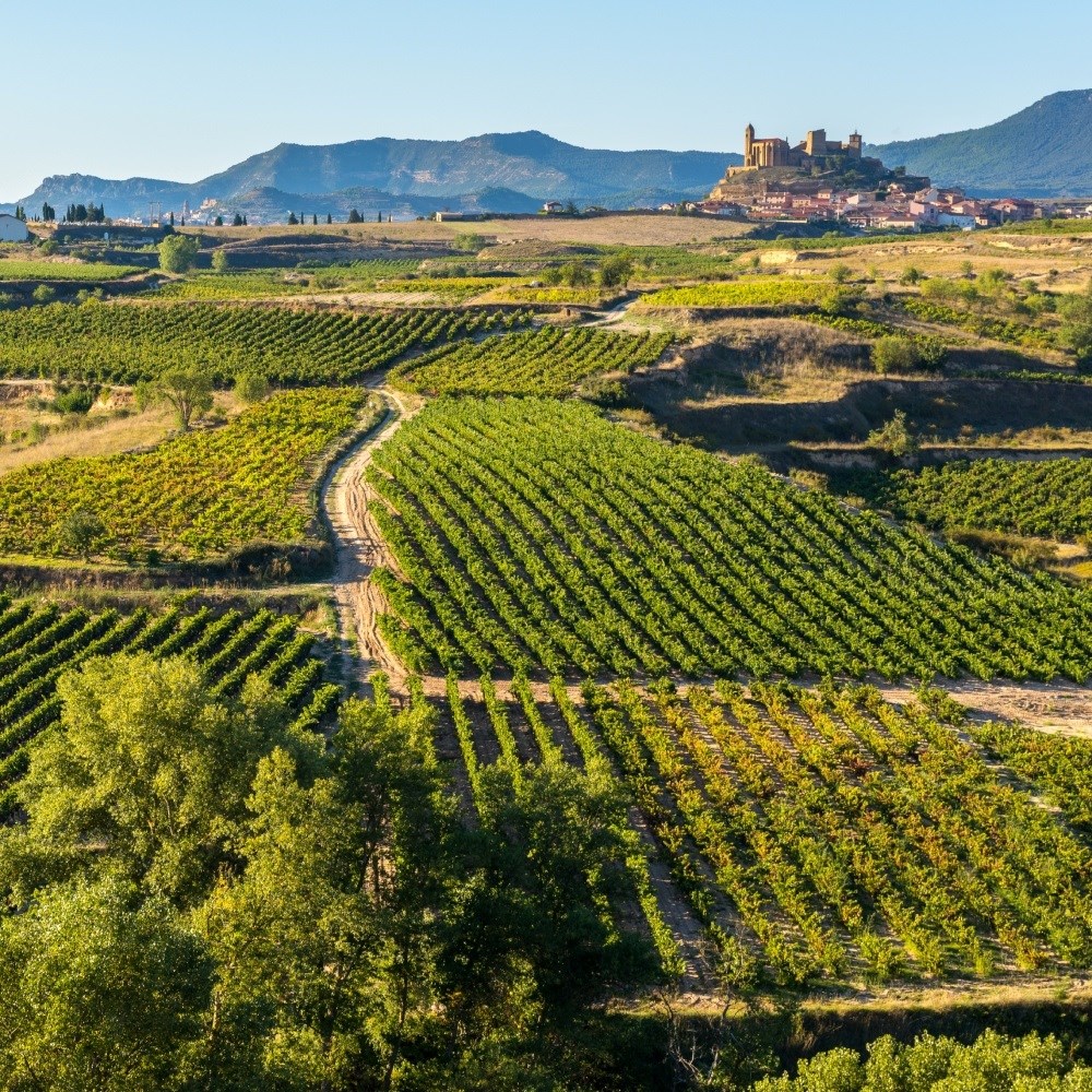 Ovo su najbolje europske regije za vinski turizam