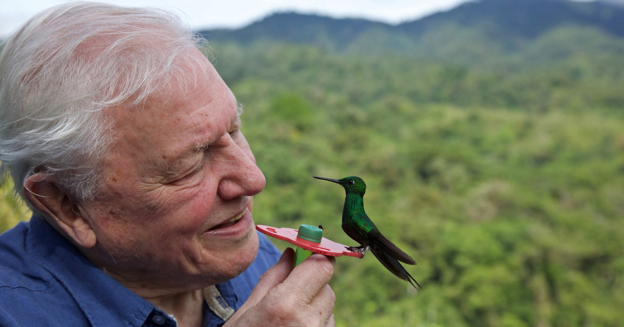 Sir David Attenborough, "glas prirode", navršava stotu