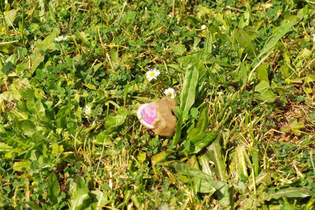 S neba diljem Hrvatske padaju tamnosmeđi "kolačići", ne dirajte ih