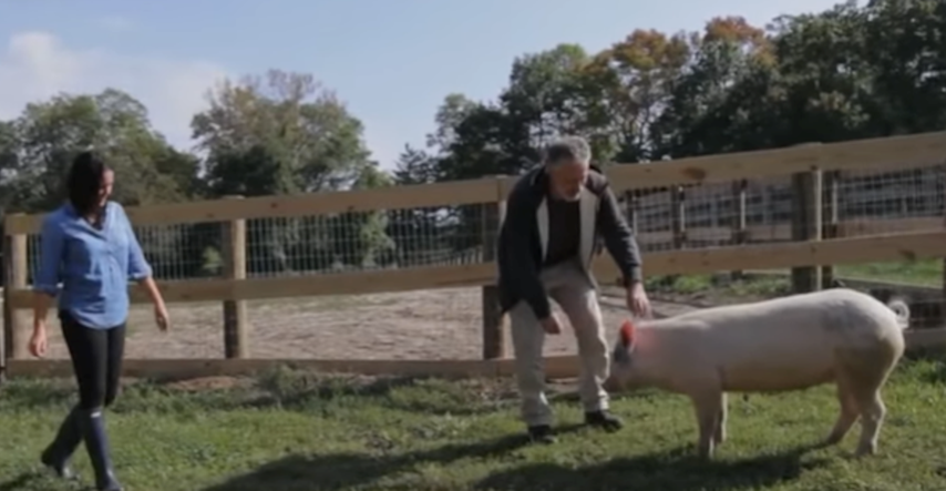Komičar Jon Stewart sa ženom napravio utočište za zlostavljane životinje