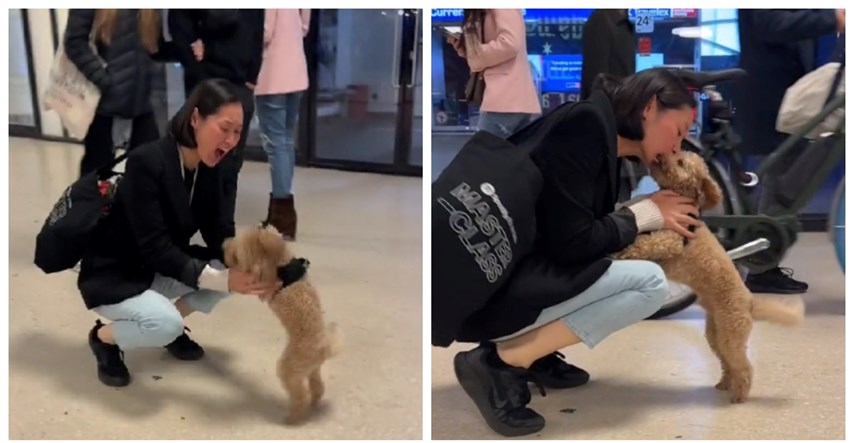 VIDEO Dirljiv susret vlasnice i njezinog psa na aerodromu koji otapa srca