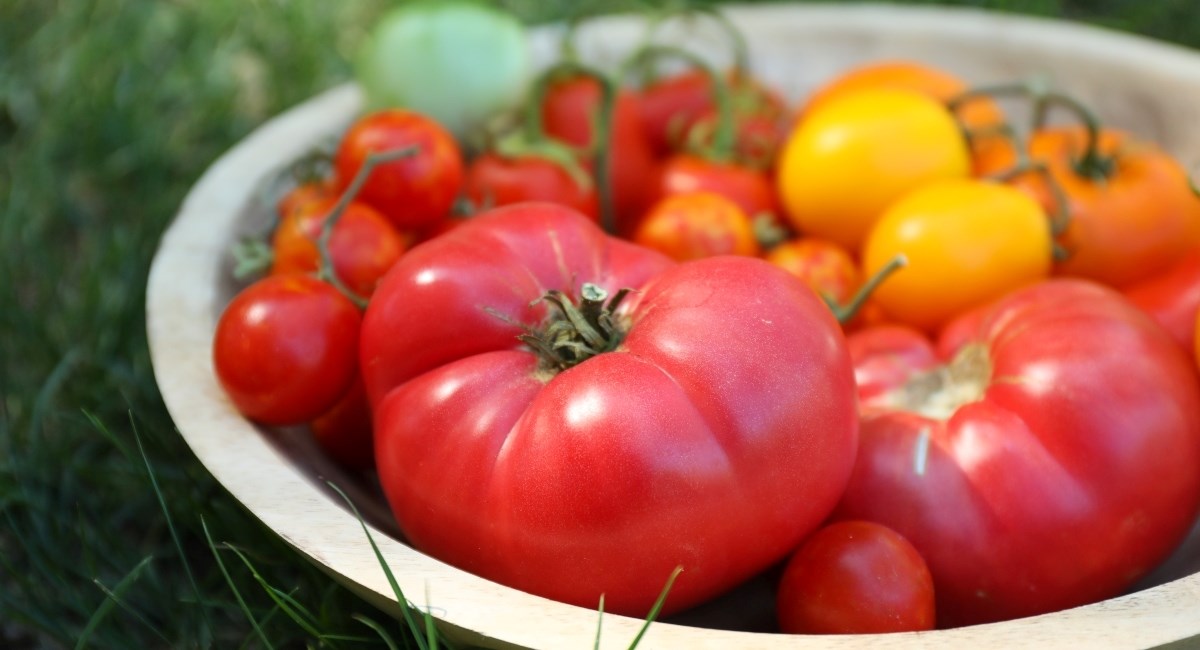 Ako ste i vi kupili previše rajčica koje samo stoje - ovako ih potrošite u 15 minuta