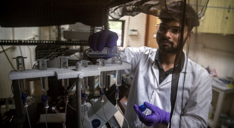 Znanstvenici: Virusi stari milijune godina pomažu u borbi protiv raka