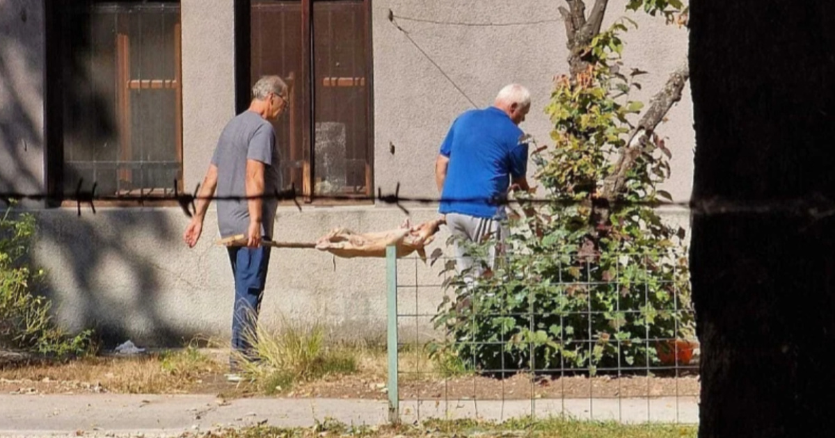 FOTO Kod najstarijeg muzeja u BiH okrenuli prase na ražnju