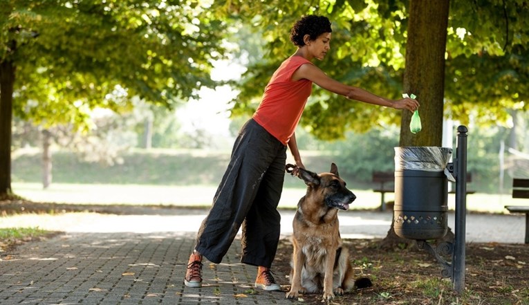 Francuski grad će uz pomoć DNK pronaći vlasnike koji ne počiste izmet svojih pasa