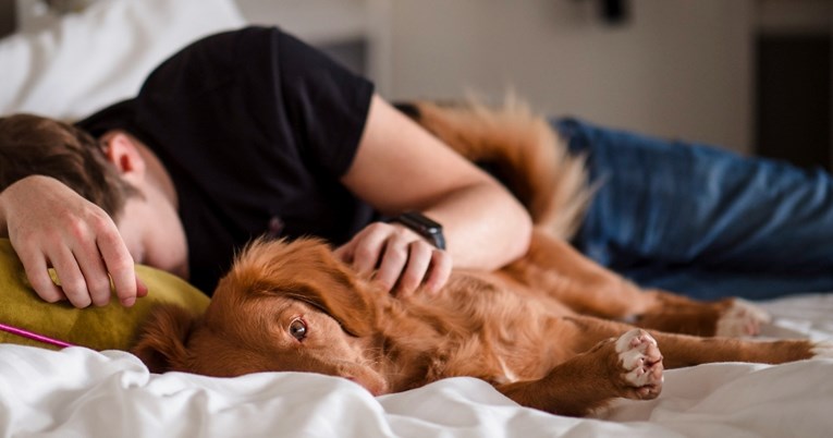 Zašto pas želi spavati u vašem krevetu? Razlog je dirljiv
