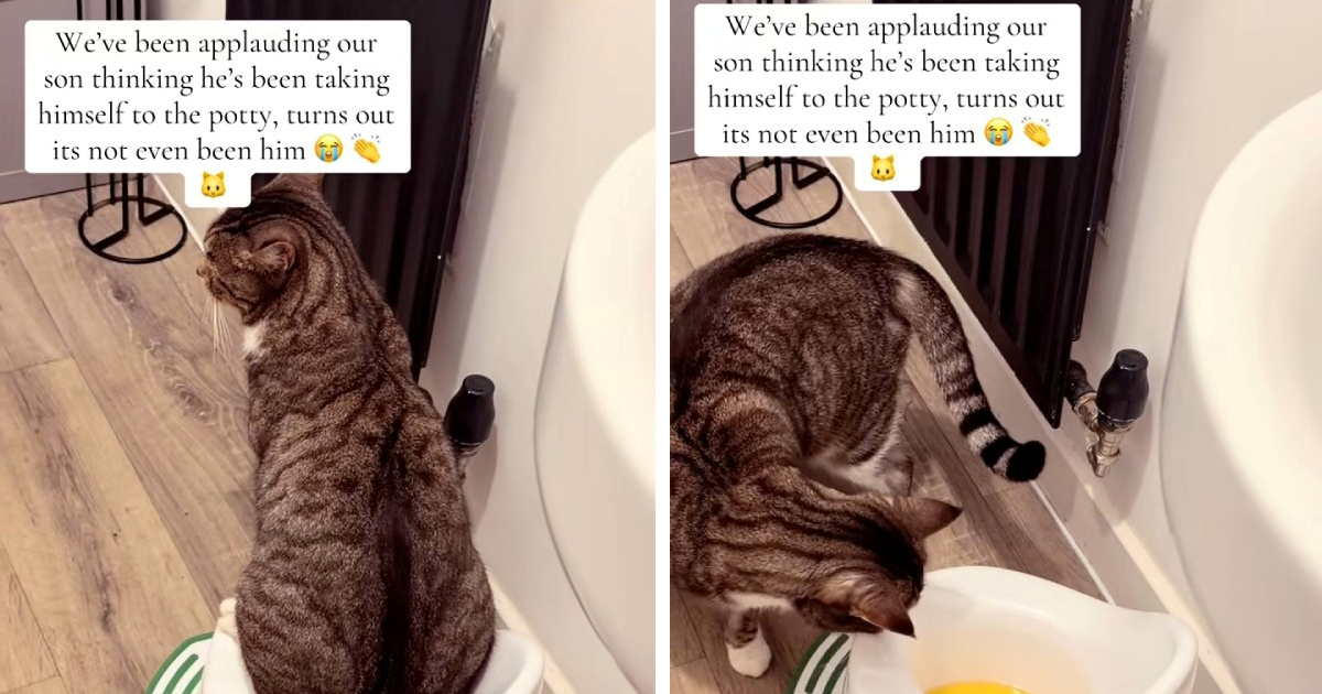 Roditelji su mislili da njihovo dijete koristi tutu, a onda su se iznenadili