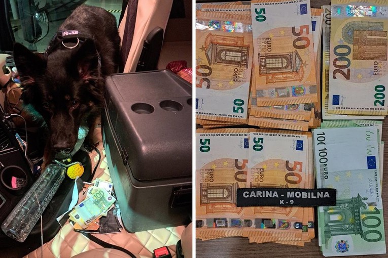 Pas Buli na Bajakovu nanjušio 12.000 neprijavljenih eura