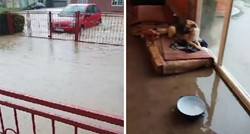 VIDEO U Slavoniji su poplave. Pogledajte u kakvim uvjetima borave napušteni psi