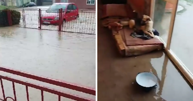 VIDEO U Slavoniji su poplave. Pogledajte u kakvim uvjetima borave napušteni psi