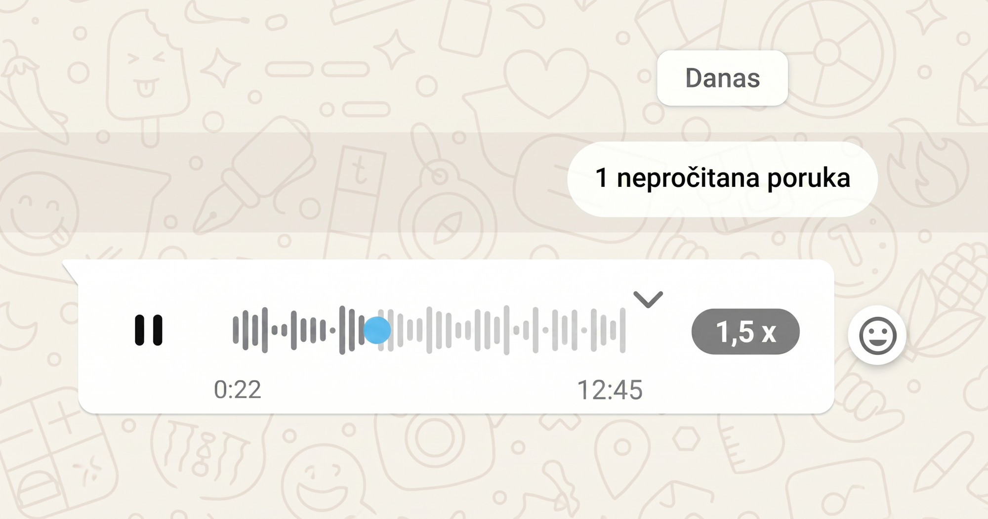 ANKETA Kad je ok slati glasovnu poruku na WhatsApp?