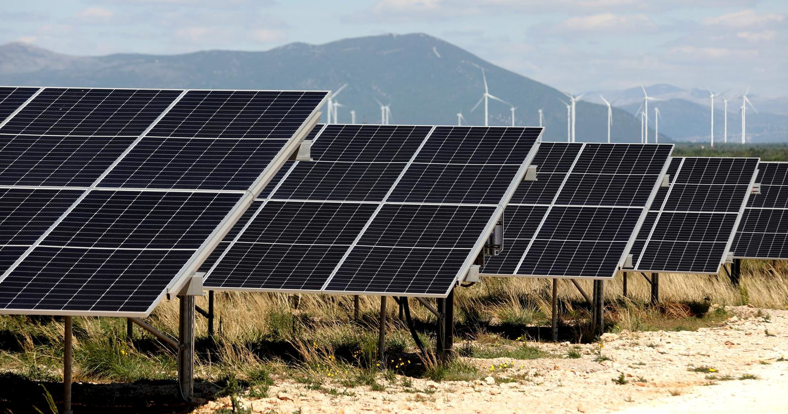 Bulj: Nećemo dopustiti izgradnju velike solarne elektrane kod Sinja