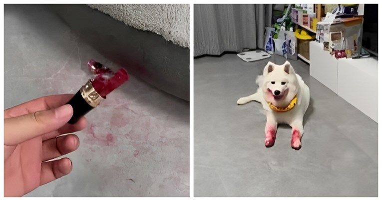 Pas ukrao vlasnici ruž, igrao se pa namazao šape. Video je hit na Instagramu