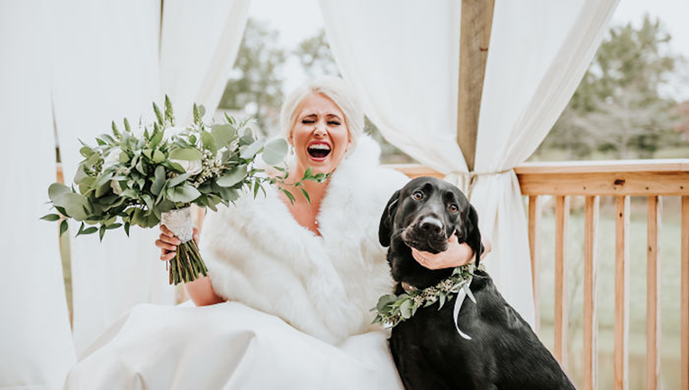 Uključila je svog psa u vjenčane fotke, no ovako ludom ishodu nije se nadala