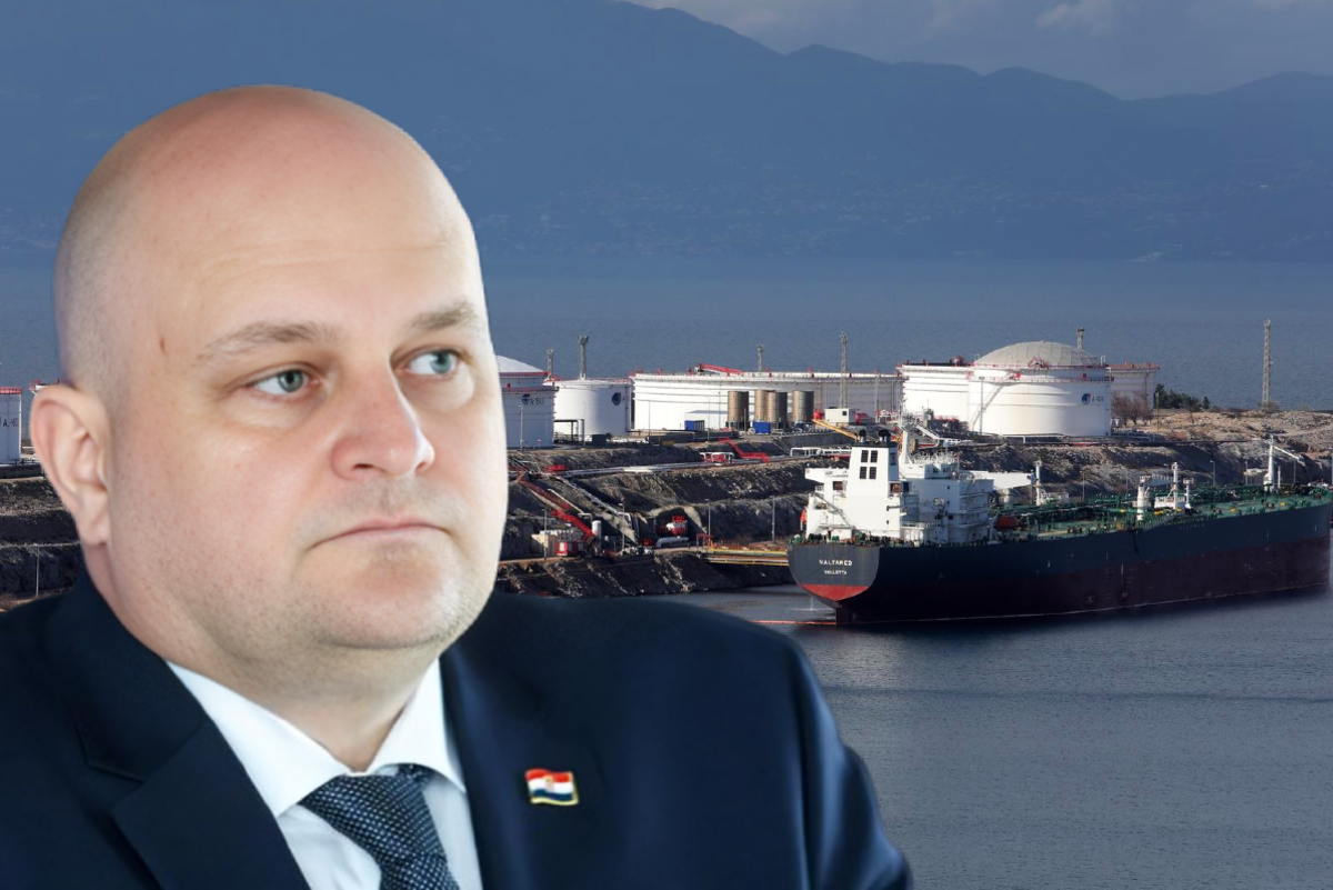 Ovo je članak o Mađarskoj i Hrvatskoj za koji Šušnjar kaže da zaslužuje pažnju